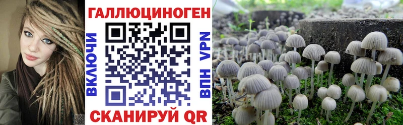 Галлюциногенные грибы прущие грибы  где купить наркоту  Шагонар 
